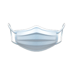 Pleated Mask