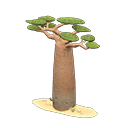 Baobab