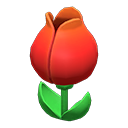 Tulip Surprise Box