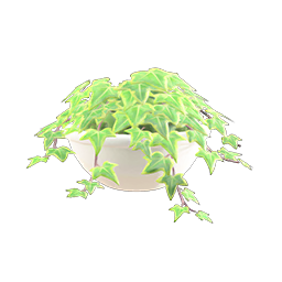 Potted Ivy DIY