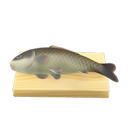 Carp On A Cutting Board DIY