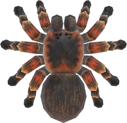 Tarantula