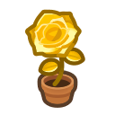 Gold Rose Plant