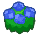 Blue Hydrangea Bush