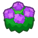 Pink Hydrangea Bush