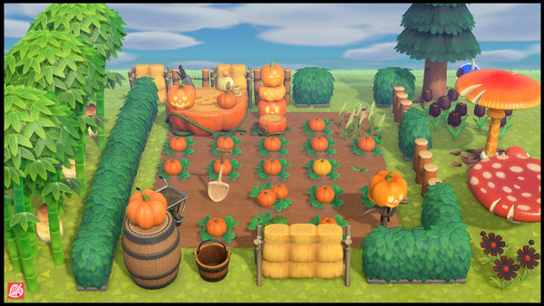 Pumpkin Farm