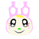 Chrissy