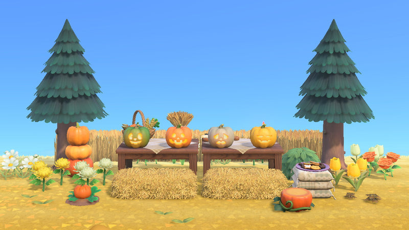 Animal Crossing Pumpkin Harvest Picnic room design with four carved pumpkins on wooden mini tables, hay bed seating, stacked pumpkins, a pile of zen cushions holding spooky cookies, and mums, tulips and roses in a gold wheat field