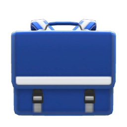 Schoolbag