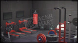 Basement Gym