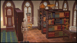 Basement Library