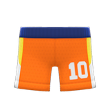 Basketball Shorts