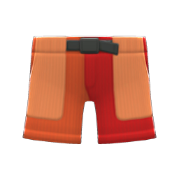 Multicolor Shorts