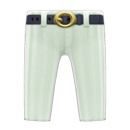 Flashy Slacks