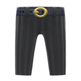 Flashy Slacks
