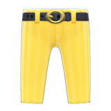 Flashy Slacks