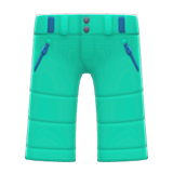 Ski Pants