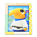 Cyrano's Photo Animal Crossing New Horizons | ACNH Items - ACNHMALL