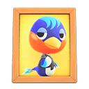 Robin's Photo
