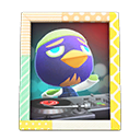 Jacques's Photo Animal Crossing New Horizons | ACNH Items - ACNHMALL