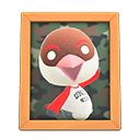 Peck's Photo