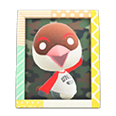 Peck's Photo Animal Crossing New Horizons | ACNH Items - ACNHMALL