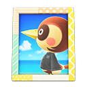 Sparro's Photo Animal Crossing New Horizons | ACNH Items - ACNHMALL