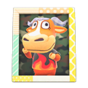 Angus's Photo Animal Crossing New Horizons | ACNH Items - ACNHMALL