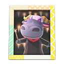Rodeo's Photo Animal Crossing New Horizons | ACNH Items - ACNHMALL