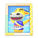 Coach's Photo Animal Crossing New Horizons | ACNH Items - ACNHMALL