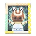 Roswell's Photo Animal Crossing New Horizons | ACNH Items - ACNHMALL
