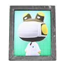 Raddle's Photo Animal Crossing New Horizons | ACNH Items - ACNHMALL