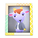 Kidd's Photo Animal Crossing New Horizons | ACNH Items - ACNHMALL