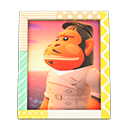 Cesar's Photo Animal Crossing New Horizons | ACNH Items - ACNHMALL