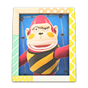Boyd's Photo Animal Crossing New Horizons | ACNH Items - ACNHMALL