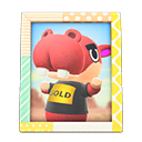 Biff's Photo Animal Crossing New Horizons | ACNH Items - ACNHMALL