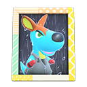 Rooney's Photo Animal Crossing New Horizons | ACNH Items - ACNHMALL