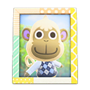 Deli's Photo Animal Crossing New Horizons | ACNH Items - ACNHMALL