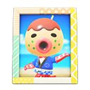 Zucker's Photo Animal Crossing New Horizons | ACNH Items - ACNHMALL