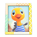 Sandy's Photo Animal Crossing New Horizons | ACNH Items - ACNHMALL
