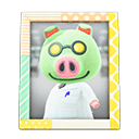 Cobb's Photo Animal Crossing New Horizons | ACNH Items - ACNHMALL