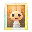 Coco's Photo Animal Crossing New Horizons | ACNH Items - ACNHMALL