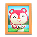 Poppy's Photo
