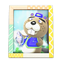 Chip's Photo Animal Crossing New Horizons | ACNH Items - ACNHMALL
