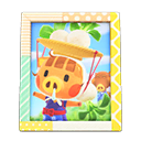 Daisy Mae's Photo Animal Crossing New Horizons | ACNH Items - ACNHMALL
