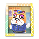 Booker's Photo Animal Crossing New Horizons | ACNH Items - ACNHMALL