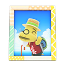 Tortimer's Photo Animal Crossing New Horizons | ACNH Items - ACNHMALL