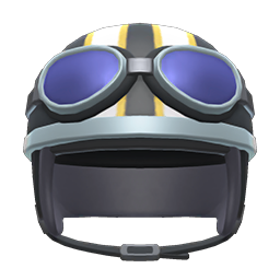 Helmet With Goggles
