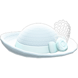 Elegant Hat