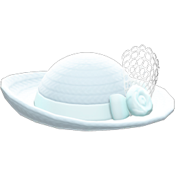 Elegant Hat